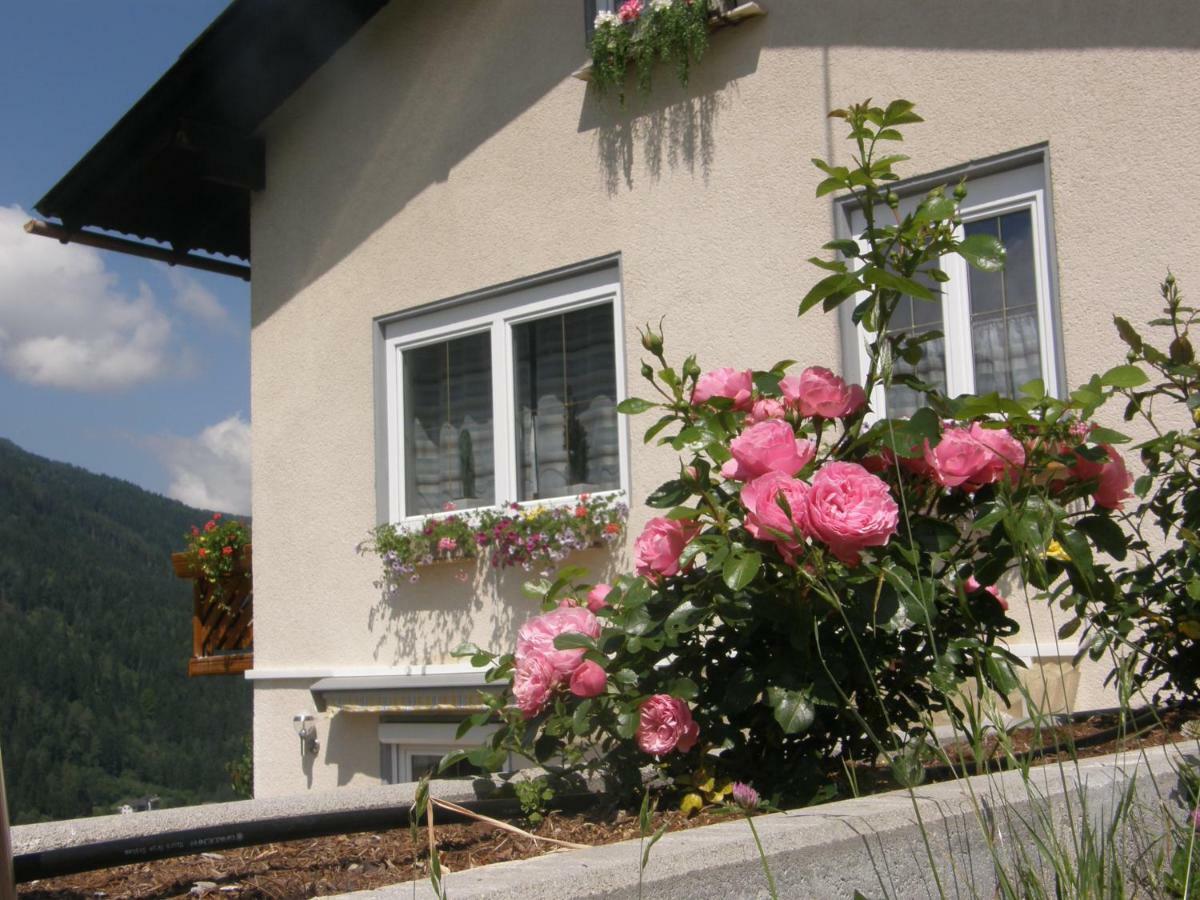 Ferienwohnung Brennseeblick Фелд ам Зее Екстериор снимка